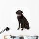 Black Labrador Studio Wall Decal