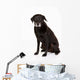 Black Labrador Studio Wall Decal
