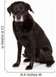 Black Labrador Studio Wall Decal