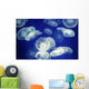 Aquarium Wall Decal