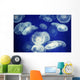 Aquarium Wall Decal