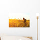 Foal Standing Field One Wall Decal