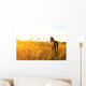 Foal Standing Field One Wall Decal
