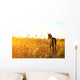 Foal Standing Field One Wall Decal