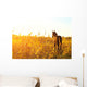 Foal Standing Field One Wall Decal