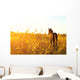 Foal Standing Field One Wall Decal