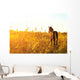 Foal Standing Field One Wall Decal