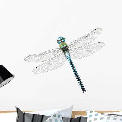 Emperor Dragonfly Wall Decal shown on a wall