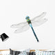 Emperor Dragonfly Wall Decal