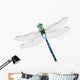 Emperor Dragonfly Wall Decal