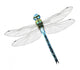 Emperor Dragonfly Wall Decal