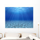 Sun's Rays Underwater Wall Decal