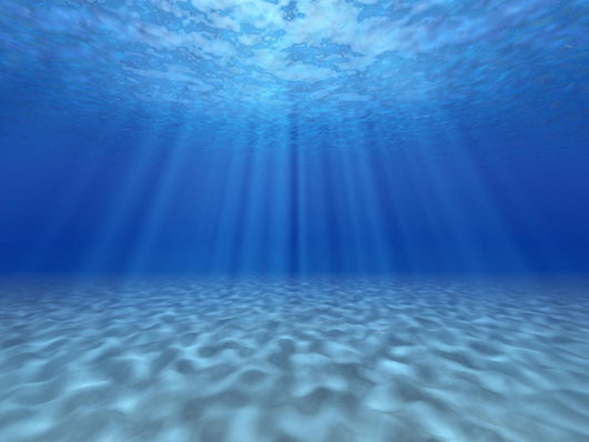 Sun's Rays Underwater Wall Decal