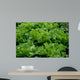 Endive Wall Decal