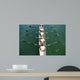 Boat Coxed Four Wall Decal