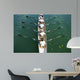 Boat Coxed Four Wall Decal