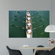Boat Coxed Four Wall Decal