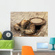 Bronze Sculpture Called Man Wall Decal