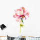 Watercolor Pink Peony Wall Decal