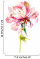 Watercolor Pink Peony Wall Decal
