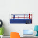 3D Illustration Boxing Ring Wall Decal Design 2