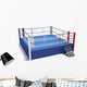 3D Illustration Boxing Ring Wall Decal Design 1
