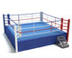 3D Illustration Boxing Ring Wall Decal Design 1