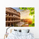 Colosseum Sunset Wall Decal