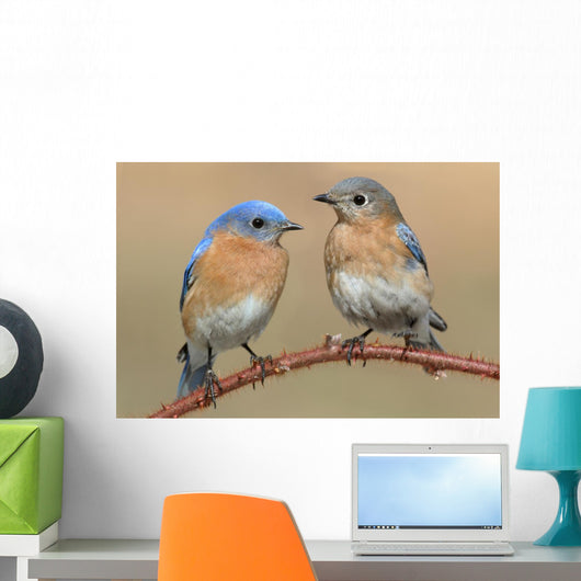 Pair Eastern Bluebird Wall Decal