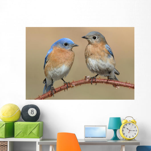 Pair Eastern Bluebird Wall Decal