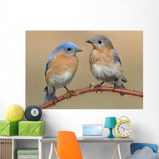 Pair Eastern Bluebird Wall Decal
