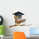 Owl Graduate or Teacher Wall Decal
