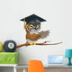 Owl Graduate or Teacher Wall Decal