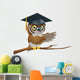 Owl Graduate or Teacher Wall Decal
