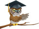 Owl Graduate or Teacher Wall Decal