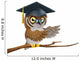 Owl Graduate or Teacher Wall Decal