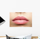 Natural Frosted Pink Lips Wall Decal