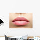 Natural Frosted Pink Lips Wall Decal