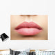 Natural Frosted Pink Lips Wall Decal