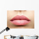 Natural Frosted Pink Lips Wall Decal