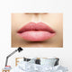Natural Frosted Pink Lips Wall Decal