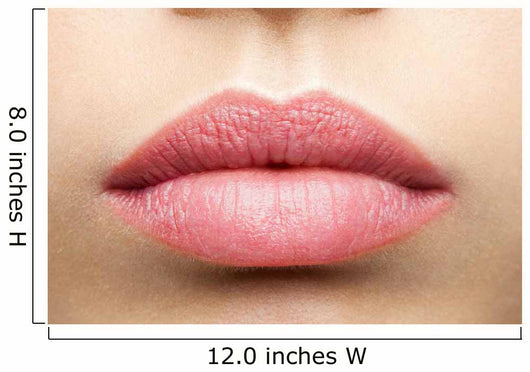 Natural Frosted Pink Lips Wall Decal