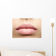 Perfect Natural Lips Wall Decal