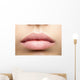 Perfect Natural Lips Wall Decal