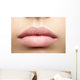 Perfect Natural Lips Wall Decal