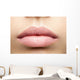 Perfect Natural Lips Wall Decal