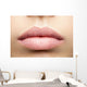 Perfect Natural Lips Wall Decal