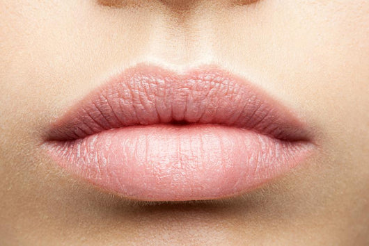 Perfect Natural Lips Wall Decal