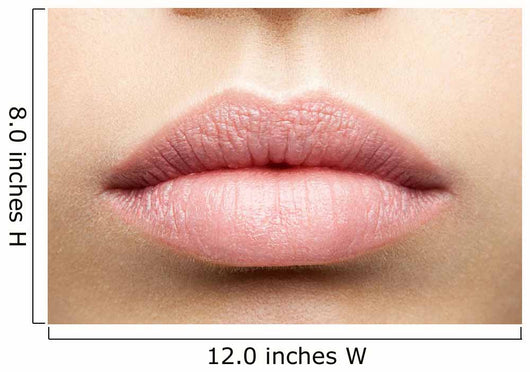 Perfect Natural Lips Wall Decal
