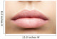 Perfect Natural Lips Wall Decal